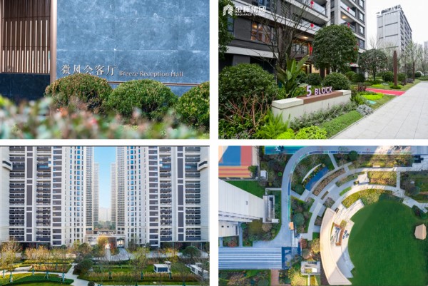 1731476376971224.jpg 图片1.JPG