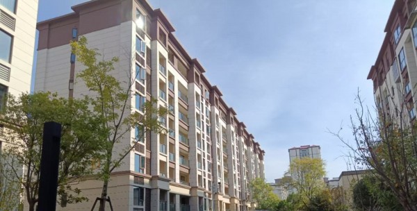 1733377857519923.jpg 图片 1.JPG