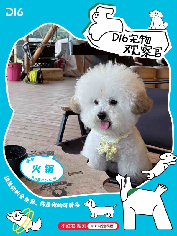 1733378015420984.jpg 图片 21.JPG