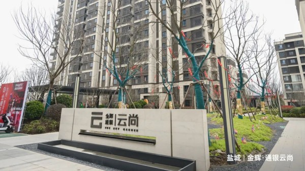 1737012079621944.jpg 图片 6.JPG