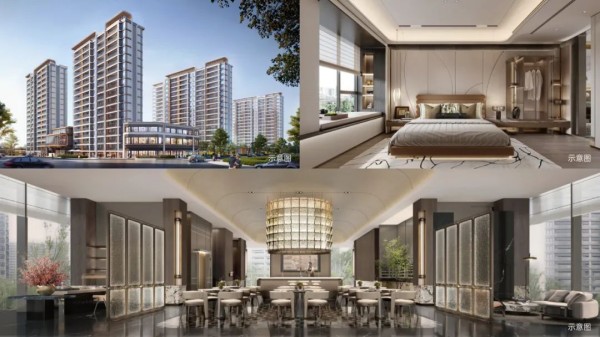 1737012113231295.jpg 图片 9.JPG